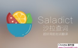 Saladict沙拉查词-聚合词典划词翻译