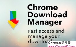 Online Download Manager：分类管理你下载的文件